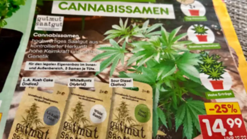 Netto verkauft Cannabis-Samen: Discount-Riese löst Debatte über Normalisierung aus