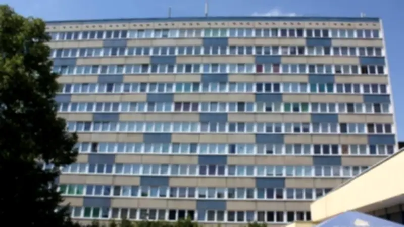 Neubrandenburger Hochhaus wird literarischer Schauplatz: Roman über Pianistin Christina