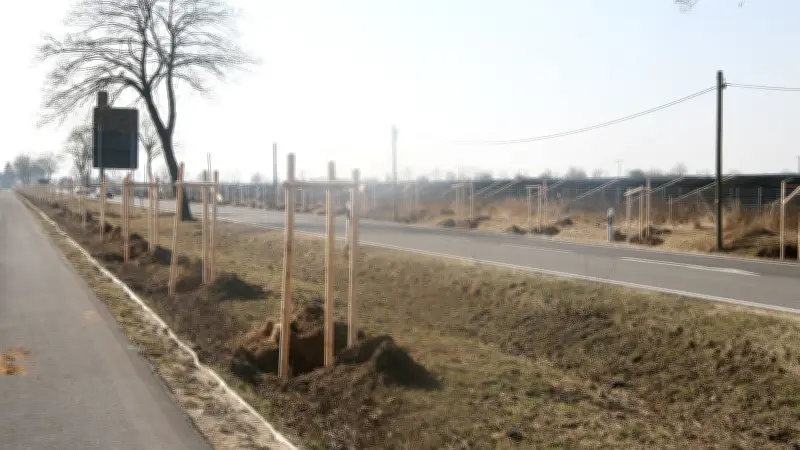 Neue Allee an der B 103 bei Dresenow: Fast 200 Bäume werden gepflanzt