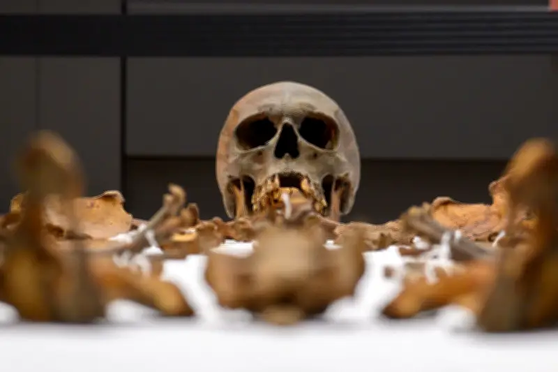 Neue Forschungen enthüllen Details zu Otto dem Großen: Verletzungen, Ernährung und Todesursache