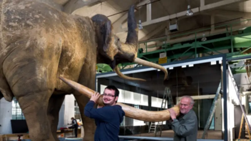 Neue Studie zu Waldelefanten-Funden im Geiseltal: Was Zähne über das Leben der Urzeitriesen verraten