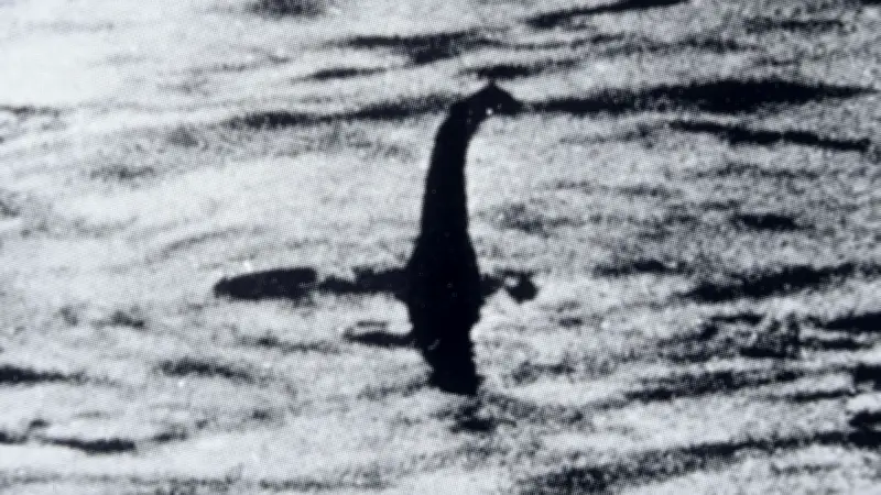 Neue Theorie zum Monster von Loch Ness: Lebt eine ganze Familie im See?