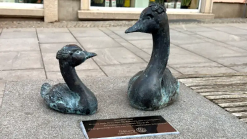 Neuer Fotohotspot in Prenzlau: Bronzene Schwanenmutter mit Kind bereichert Innenstadt