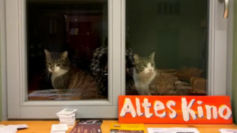 Neues Leben für Altes Kino: Lychener Verein startet mit vielfältigem Kulturprogramm