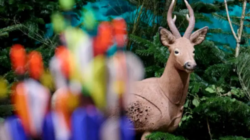 Neustart der Tier & Natur Messe: Jagd und Familien-Erlebnis fusionieren in Rostock