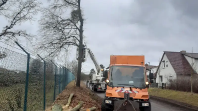 Neustrelitz: Baumfällungen für DLR-Neubau - Weltraumwetter-Forschung erhält neues Gebäude