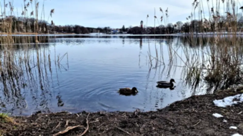 Neustrelitz: Kein Container für Gewässerpflege - Vereine frustriert über Haushaltsblockade