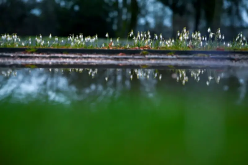Niedersachsens Böden trotz Schnee weiter durstig - Grundwasserbildung in Gefahr