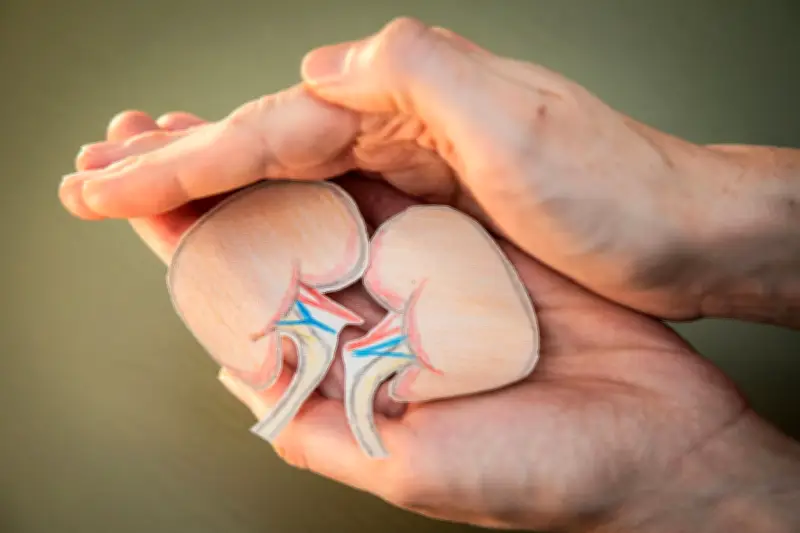 Nierengesundheit: Wie Sie Ihre Klärwerke des Körpers schützen und pflegen können