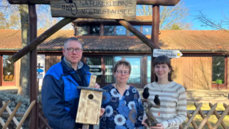 Nistkasten für gefährdete Stare: So bauen Familien in Sachsen-Anhalt ein Vogelheim