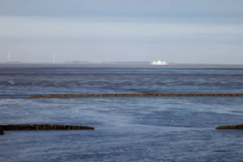 Norddeutschland: Sonniges Wochenende mit Nachtfrost und Nebel erwartet