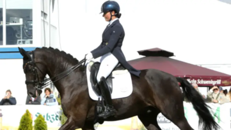 Nordic Grand Prix Dressage Trophy startet in Hohen Wieschendorf mit Spitzensport an der Ostsee