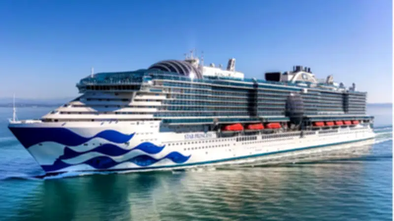 Norovirus-Ausbruch auf Kreuzfahrtschiff: Über 150 Infizierte auf Karibikreise