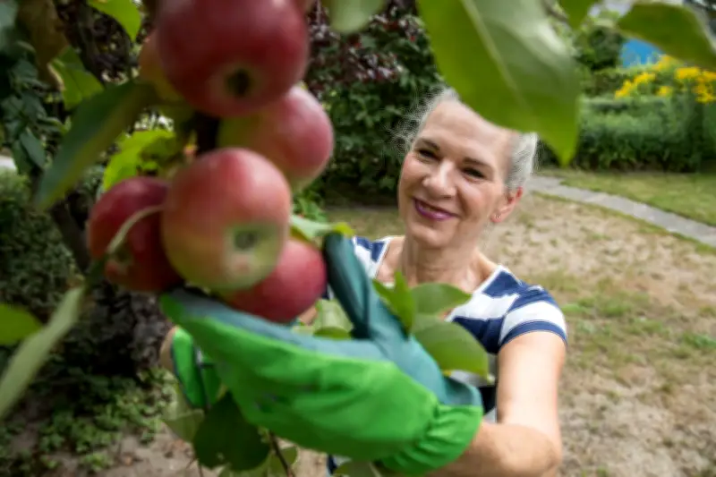 Obstbäume im Frühjahr pflanzen: Erfolgreiche Tipps für Pfirsich, Aprikose und Co.