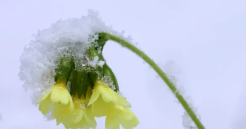 Osterferien in Bayern starten mit Regen, Schnee und Glätte auf den Straßen