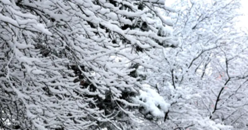 Osterferien in Bayern starten mit winterlichem Wetter und Schneefall