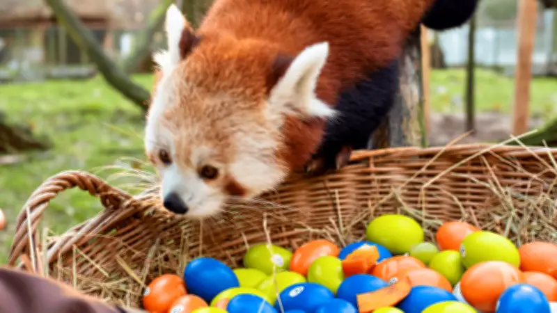 Osterferien in Mecklenburg-Vorpommern: Märkte, Museen und tierische Erlebnisse