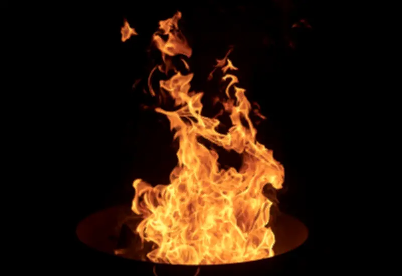 Osterfeuer als Gefahr für Wildtiere: So schützen Sie Igel und Mäuse richtig