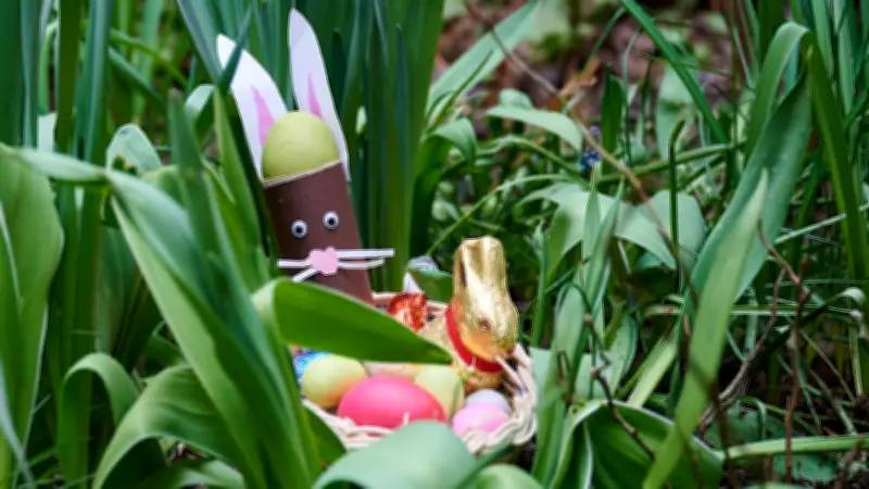 Ostern 2026: Schokohasen und Eier werden deutlich teurer - Preisschock für Verbraucher
