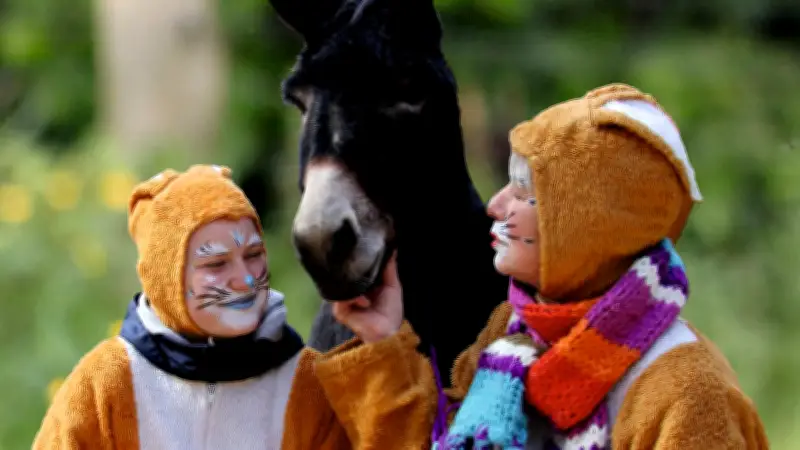 Osterprogramm in der Region: Von Speedway bis Klassik - Veranstaltungen für die ganze Familie