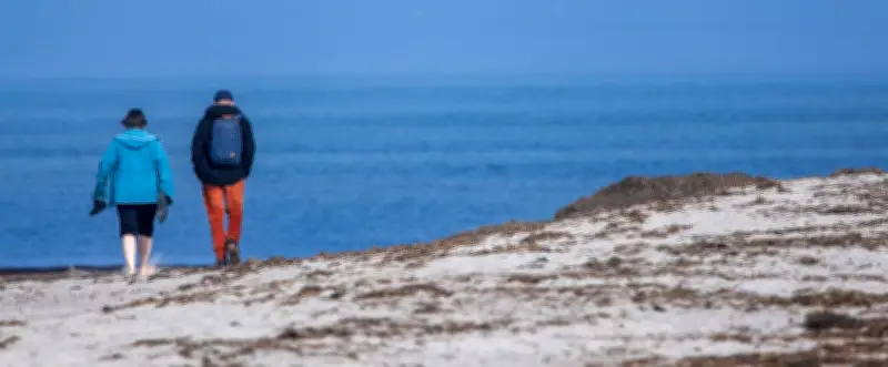 Ostertourismus in MV: Stabile Nachfrage trotz hoher Spritpreise