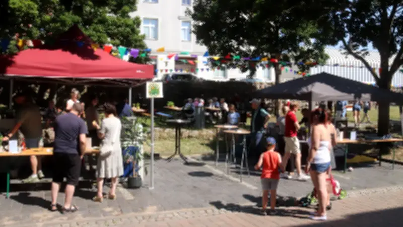 Pasewalk setzt Bundesprogramm 'Demokratie leben!' fort – AfD fordert mehr Transparenz bei Fördergeldern