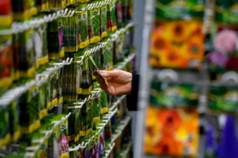 Pflanzsaison startet: 7 Experten-Tipps für erfolgreiche Anzucht im eigenen Garten