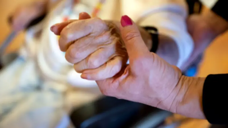 Pflegekurs für Angehörige: Info-Veranstaltung in Torgelow bietet praktische Hilfe