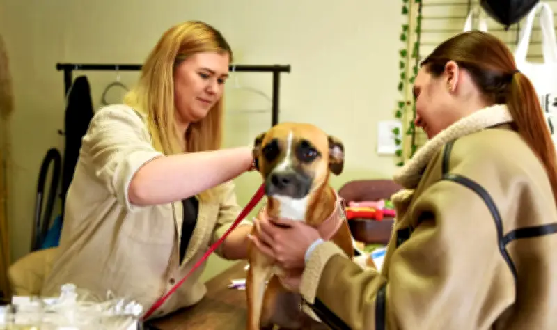 Pfotenmanufaktur Köthen: Gina Diebner kreiert handgefertigte tierische Accessoires