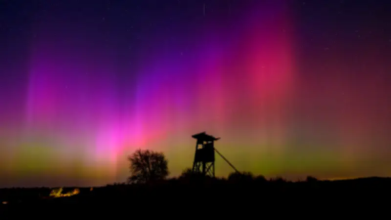 Polarlichter 2026: Sonnenzyklus-Maximum beschert spektakuläre Himmelsphänomene