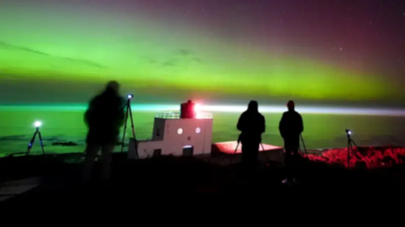 Polarlichter als Irrlicht? Wie Sonneneruptionen Buckelwal Timmy in die Ostsee führten