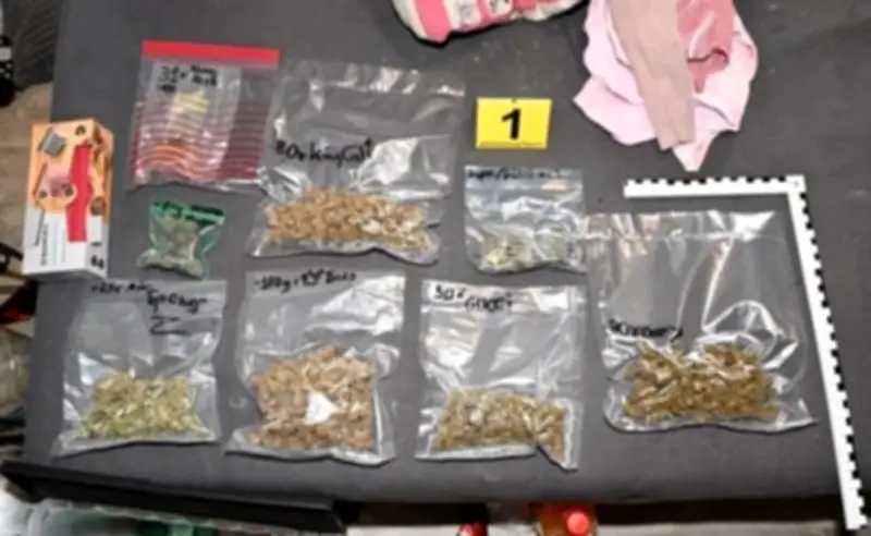 Polizei schlägt in Magdeburg-Fermersleben zu: Drogen, Waffen und Bargeld sichergestellt