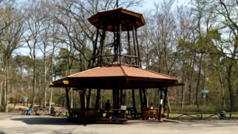 Polizei schließt Gewaltverbrechen nicht aus: Tote Frau im Mannheimer Wald entdeckt