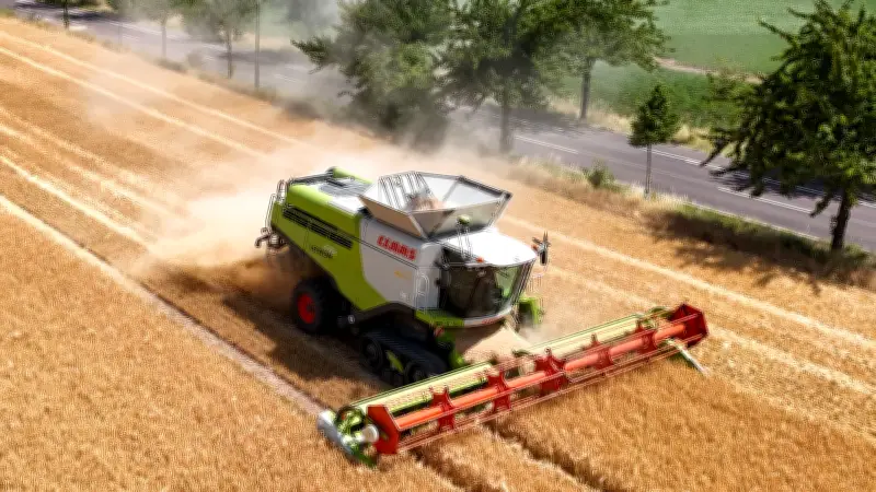 Preisverfall in der Landwirtschaft: Bauern in Sachsen-Anhalt schreiben rote Zahlen