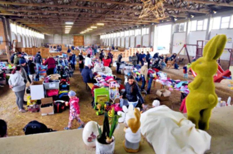 Premiere in Drosa: Reitschule Xenophon startet erfolgreichen Familienflohmarkt in Reithalle