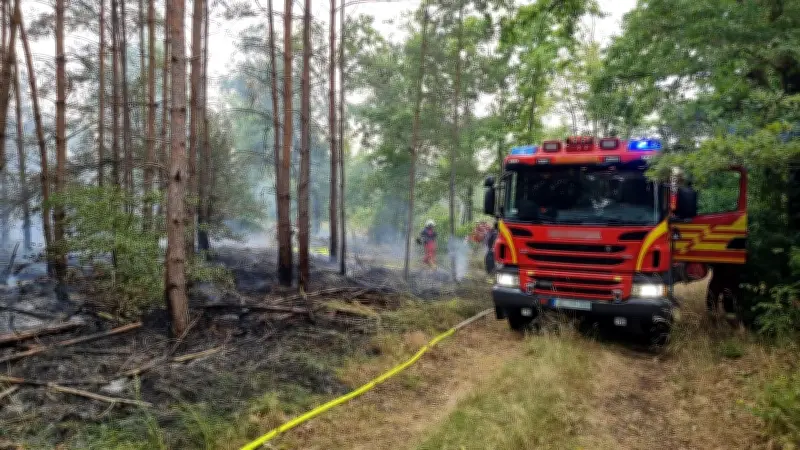 Prozess gegen Blaulicht-Fotografen in Dessau: 17 Brände für Fotos gelegt