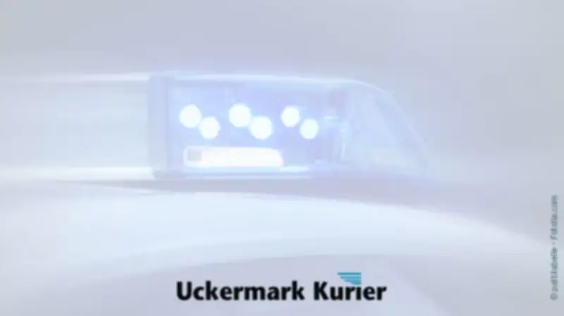 Radfahrer in Schwedt scheitert bei Flucht vor Polizei - Verletzungen und Strafanzeigen