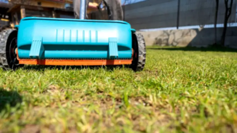 Rasenpflege-Experte erklärt: Wann und wie Sie Ihren Rasen richtig kalken sollten