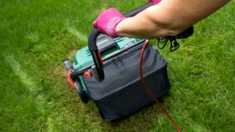 Rasenpflege im Frühjahr: Der Rasendoktor verrät den idealen Zeitpunkt für den ersten Schnitt