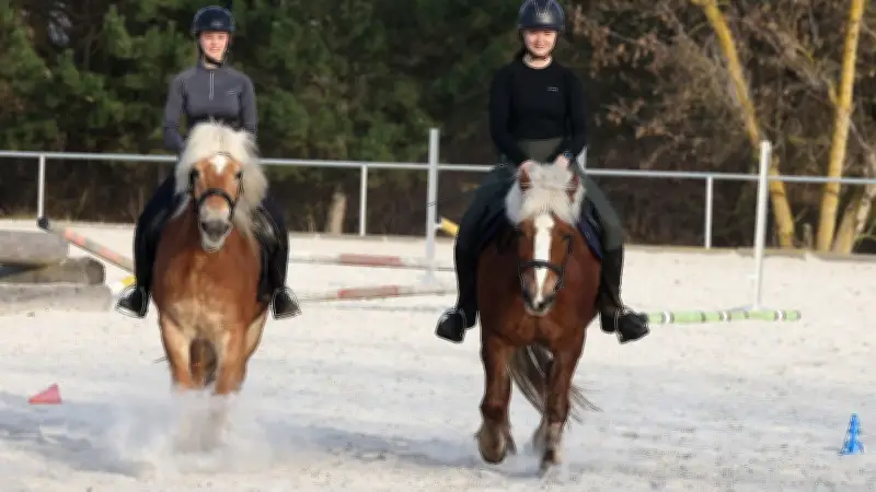 Reitsportnachwuchs in Halle: EU-Förderung ermöglicht lang ersehnten Hallenbau