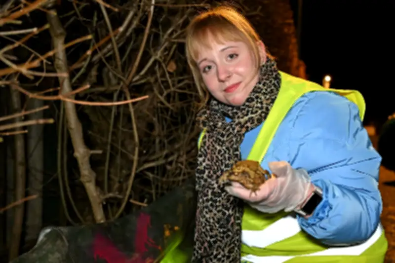 Rekordzahl an Freiwilligen rettet Amphibien in Sachsen vor dem Straßentod