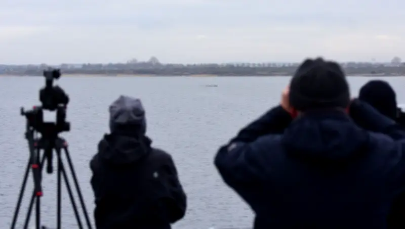 Rettungsaktion für geschwächten Buckelwal in der Wismarbucht gestartet