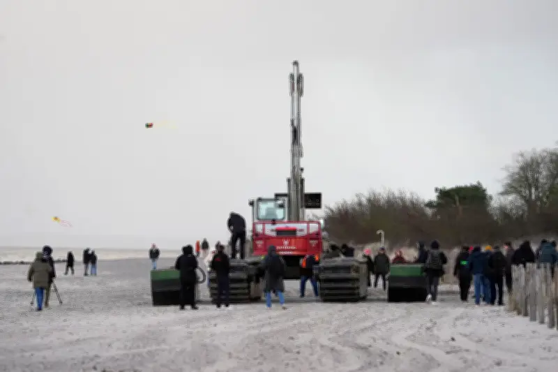 Rettungsaktion für gestrandeten Buckelwal: Bagger bereiten Rettungsrinne vor Timmendorfer Strand