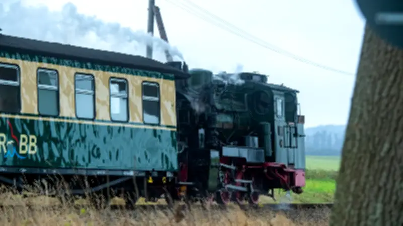 Rügens „Rasender Roland“ rollt auf modernisierten Gleisen in die Zukunft