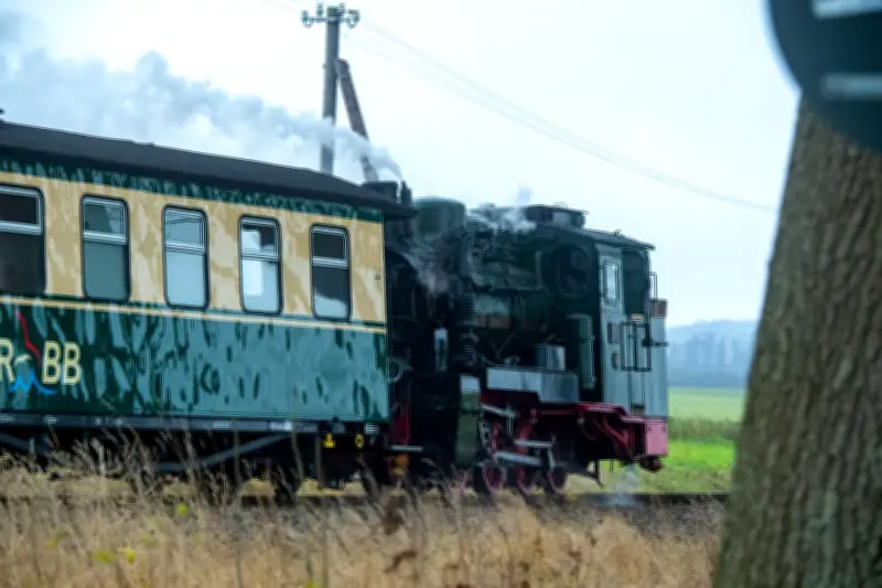 Rügens Traditionsbahn „Rasender Roland“ rollt auf modernisierten Gleisen