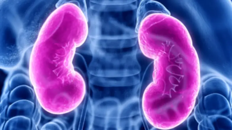 Rhabdomyolyse: Wenn Muskelzellen platzen und die Nieren versagen