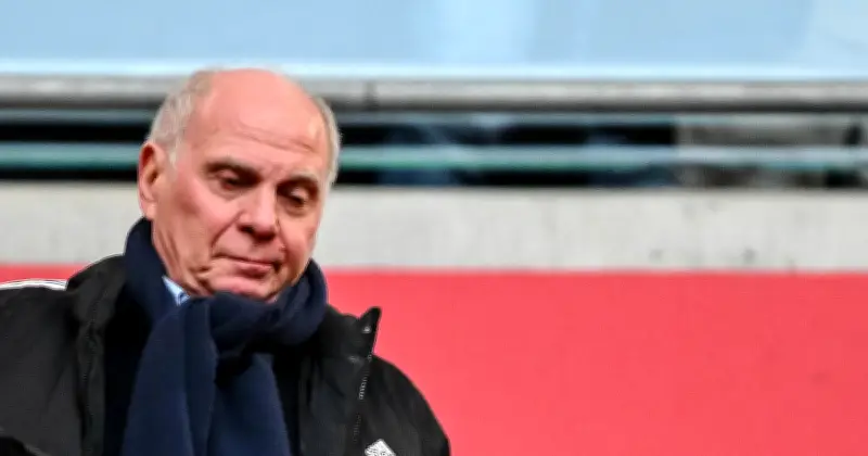 Rolfes weist Hoeneß-Kritik zurück: Schiedsrichter-Debatte nach Bayern-Leverkusen