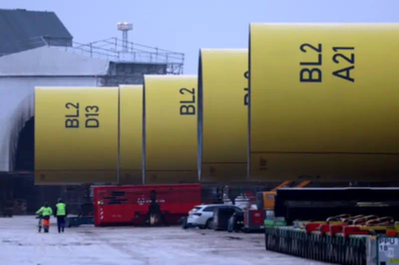 Rostock plant EEW-Erweiterung im Hafen: Bürgerschaft gibt grünes Licht trotz Waldrodung
