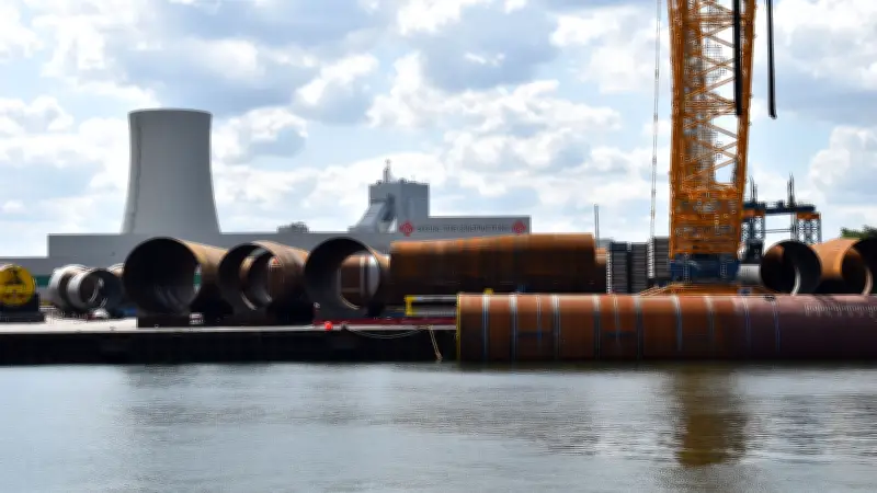 Rostocker Waldrodung: Industrie-Expansion versus Naturschutz vor Entscheidung