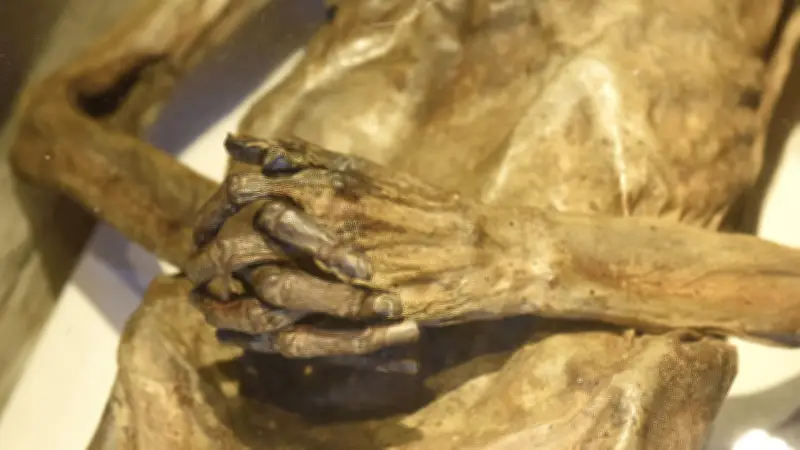 Rätsel um die Mumie von Kampehl: Der unverweste Ritter von Kahlbutz fasziniert seit 300 Jahren